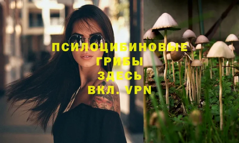 Псилоцибиновые грибы Magic Shrooms  Белогорск 